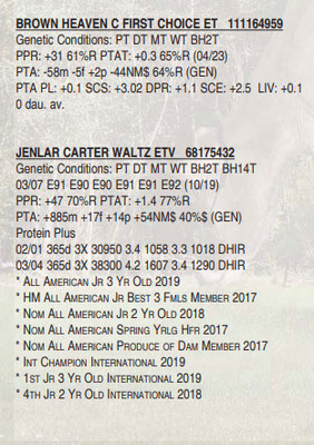 146313