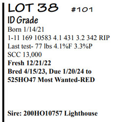 154173