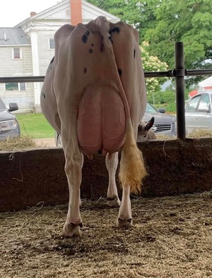 147744