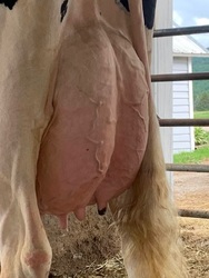 147757