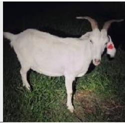 169170