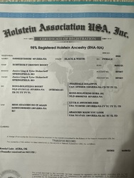 155192