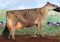 162058