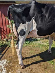 161508