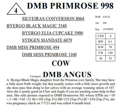 165057