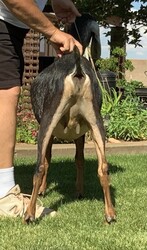 165588