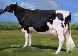 166670
