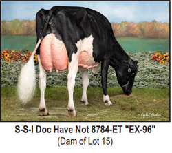 177248