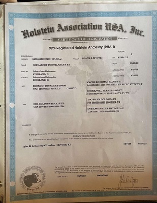 172809