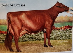172783