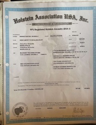 172809