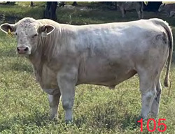 175321