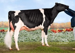 176951