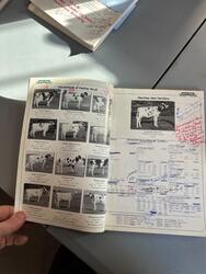 177542