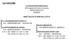 181707