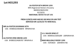 181708