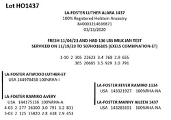 181718