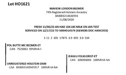 181739