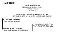 181747
