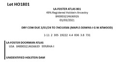 181748