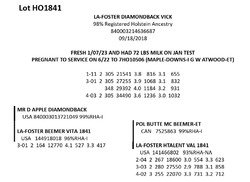 181759
