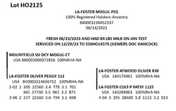 181804