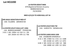 181815