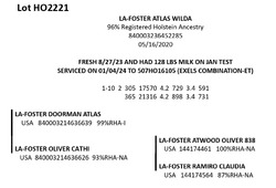 181819