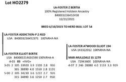 181825