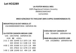 181827