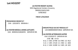 181832