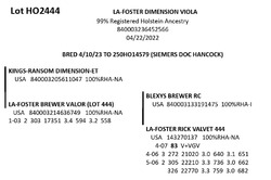 181845