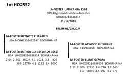 181856