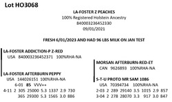 181886