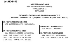 181915