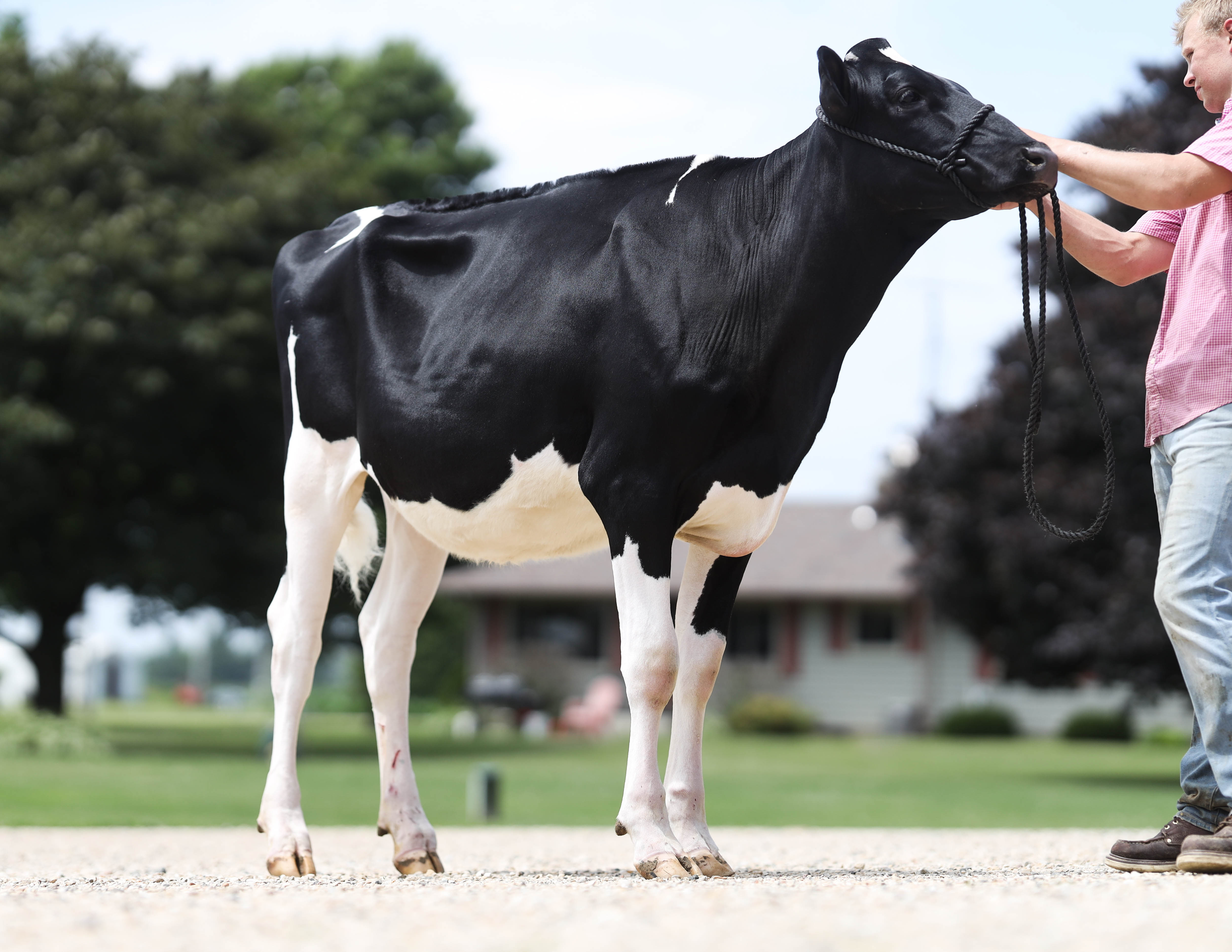 4H-1