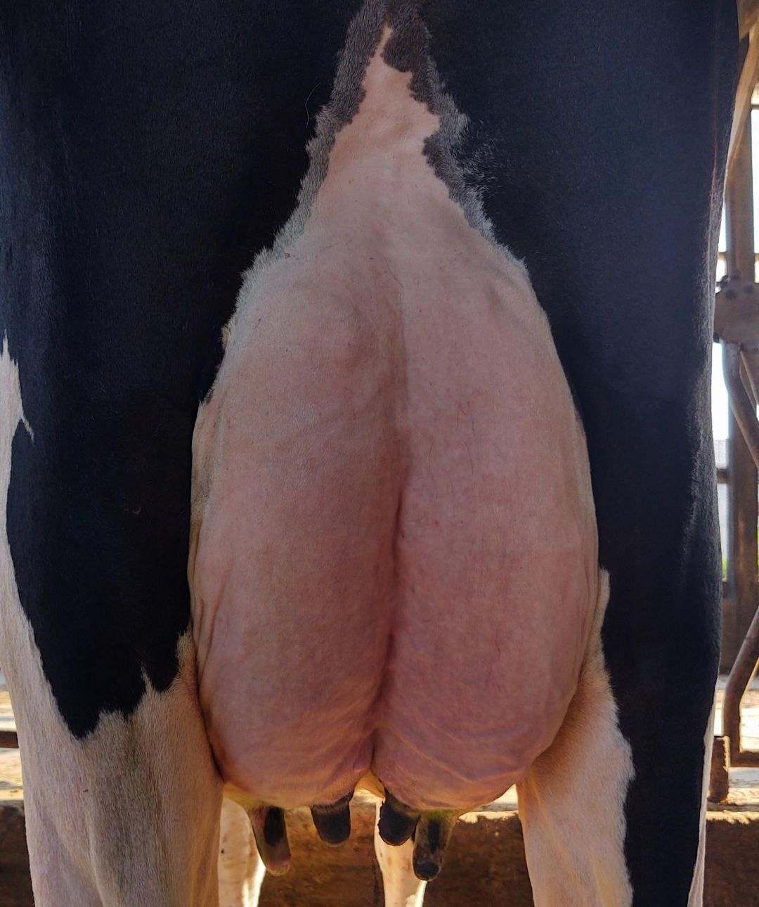 1H-1