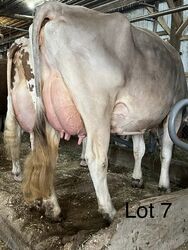 194773