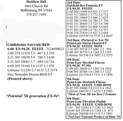 185176