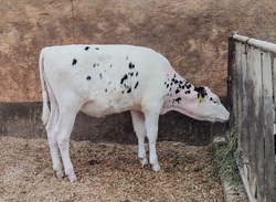 186513