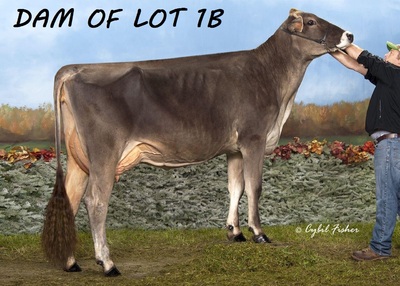 186595