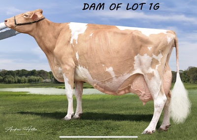 186598