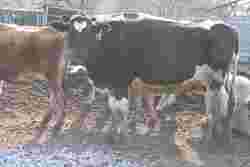 187925