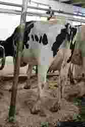 188003