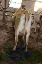 200576