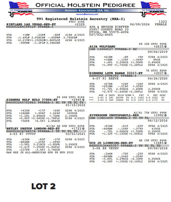 262574
