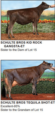 210337