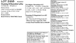 216453