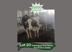 212345