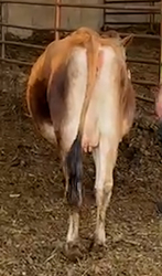 212924
